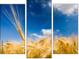 Triptychon - Dreiteiliges Leinwandbild