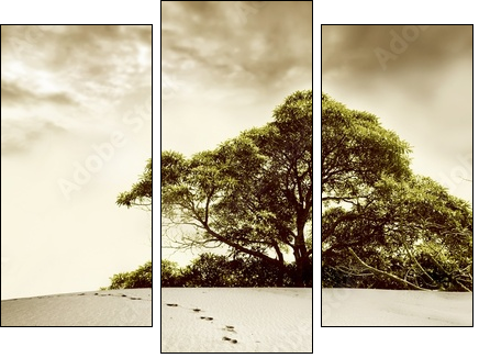 desert - Dreiteiliges Leinwandbild, Triptychon