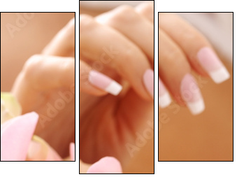 hands care. Female hands holding rose petals - Dreiteiliges Leinwandbild, Triptychon