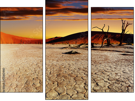 Namib Desert, Sossusvlei, Namibia - Dreiteiliges Leinwandbild, Triptychon