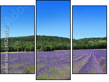 Panorama de provence - Dreiteiliges Leinwandbild, Triptychon