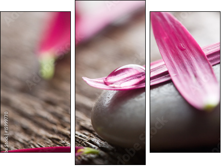 Flower petals - Dreiteiliges Leinwandbild, Triptychon