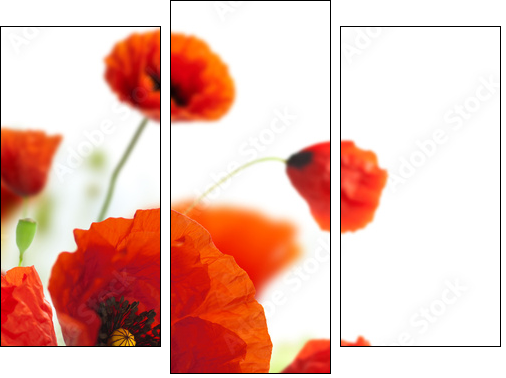 floral design, decoration flowers, poppies border - corner - Dreiteiliges Leinwandbild, Triptychon