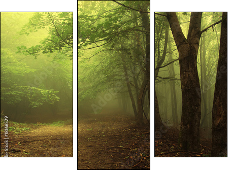 Green forest with fog - Dreiteiliges Leinwandbild, Triptychon