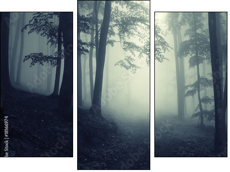 Forest - Dreiteiliges Leinwandbild, Triptychon