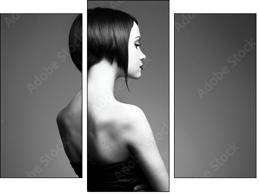 Elegant lady with stylish hairstyle - Dreiteiliges Leinwandbild, Triptychon