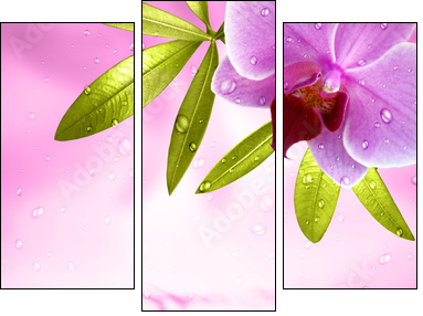 Wellness Motiv mit Orchidee - Dreiteiliges Leinwandbild, Triptychon