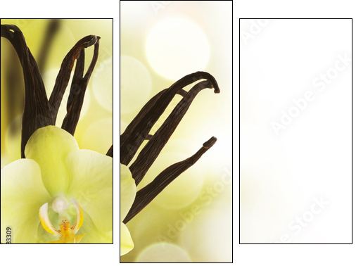 Beautiful Vanilla beans and flower over blurred background - Dreiteiliges Leinwandbild, Triptychon