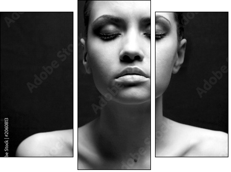 portrait of beauty. sexy fashion girl. - Dreiteiliges Leinwandbild, Triptychon