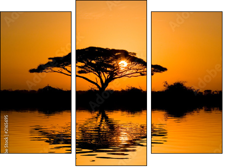 acacia tree at sunrise - Dreiteiliges Leinwandbild, Triptychon