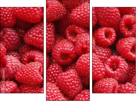 Sweet raspberry - Dreiteiliges Leinwandbild, Triptychon