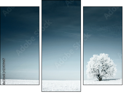Tree - Dreiteiliges Leinwandbild, Triptychon