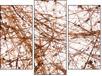 sisal background - Dreiteiliges Leinwandbild, Triptychon