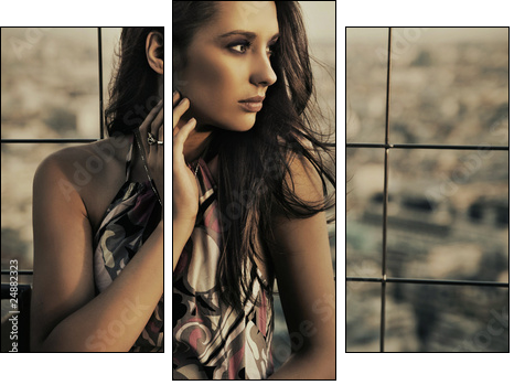 beauty posing over urban background - Dreiteiliges Leinwandbild, Triptychon