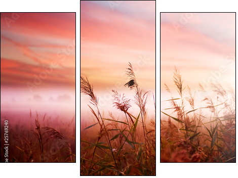 Foggy Landscape.Early Morning Mist. - Dreiteiliges Leinwandbild, Triptychon
