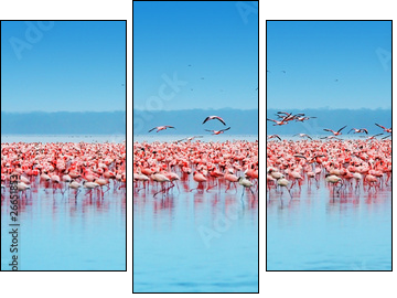 African flamingos - Dreiteiliges Leinwandbild, Triptychon