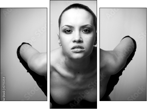 portrait of beauty. sexy fashion girl. - Dreiteiliges Leinwandbild, Triptychon