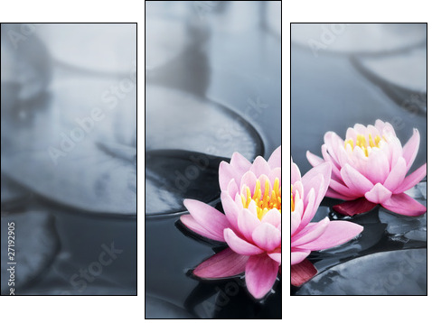 Lotus blossoms - Dreiteiliges Leinwandbild, Triptychon