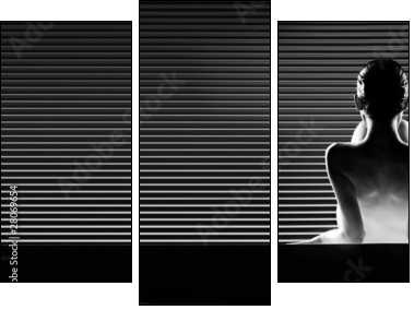 black and white back view artistic nude, on striped background. - Dreiteiliges Leinwandbild, Triptychon