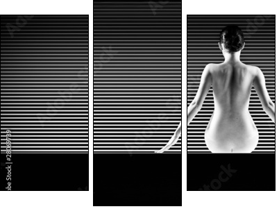 black and white artistic nude; a back silhouette shot on striped - Dreiteiliges Leinwandbild, Triptychon