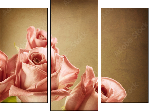 Beautiful Pink Roses. Vintage Styled. Sepia toned - Dreiteiliges Leinwandbild, Triptychon