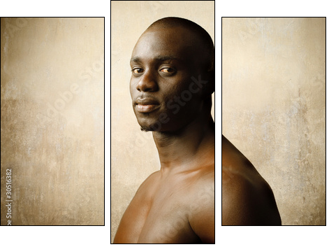 African beauty - Dreiteiliges Leinwandbild, Triptychon