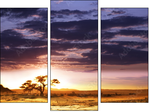 Namib - Dreiteiliges Leinwandbild, Triptychon