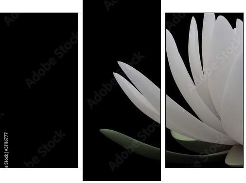 3d lotus - Dreiteiliges Leinwandbild, Triptychon