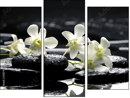 Zen stones and white orchids with reflection - Dreiteiliges Leinwandbild, Triptychon