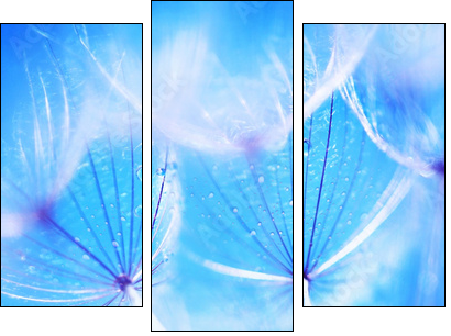 Soft dandelion flowers - Dreiteiliges Leinwandbild, Triptychon