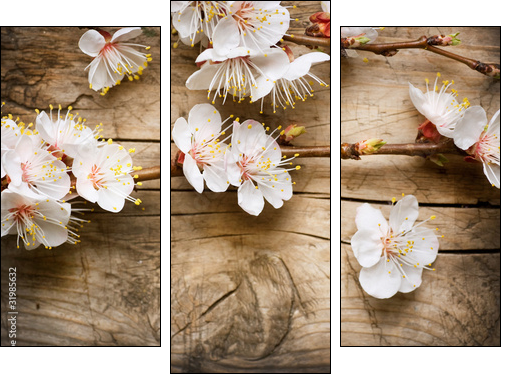 Wood background with spring blossom - Dreiteiliges Leinwandbild, Triptychon