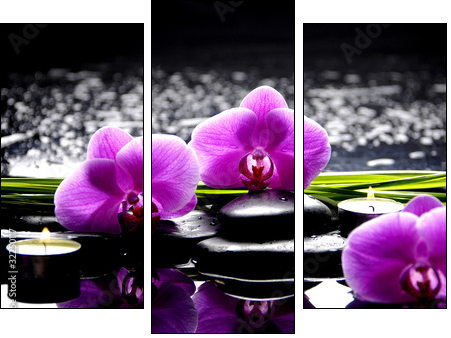 Spa still life with set of pink orchid and stones reflection - Dreiteiliges Leinwandbild, Triptychon