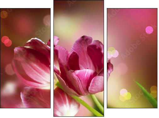 Flowers. Anniversary Card Design - Dreiteiliges Leinwandbild, Triptychon