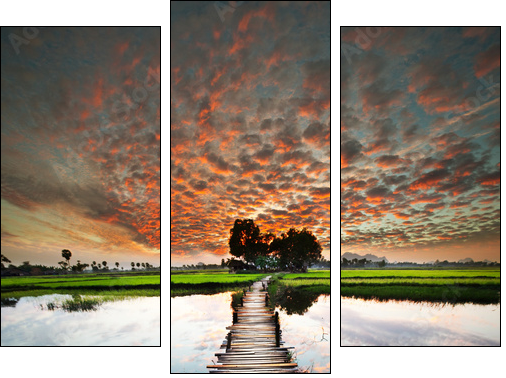 Tropical river - Dreiteiliges Leinwandbild, Triptychon