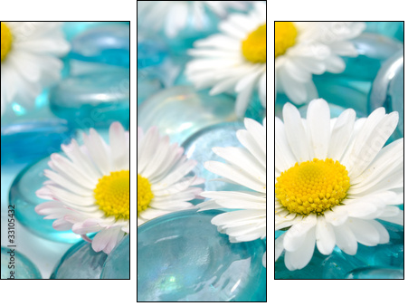 Daisy Flowers on Blue Glass Stones - Dreiteiliges Leinwandbild, Triptychon