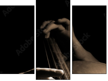 Musician playing contrabass - Dreiteiliges Leinwandbild, Triptychon