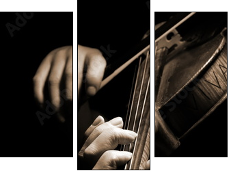 Musician playing violin isolated on black - Dreiteiliges Leinwandbild, Triptychon