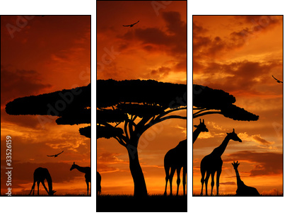 herd of giraffes in the setting sun - Dreiteiliges Leinwandbild, Triptychon