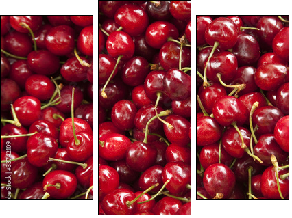 Cherries - Dreiteiliges Leinwandbild, Triptychon