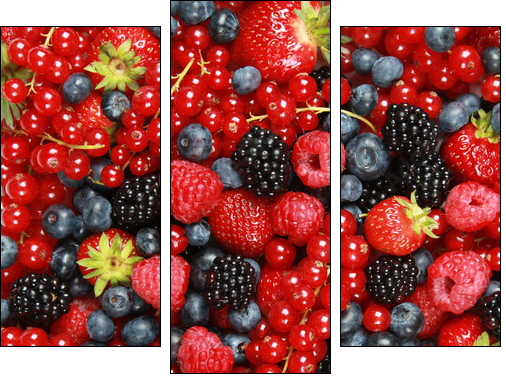 Beeren - Dreiteiliges Leinwandbild, Triptychon