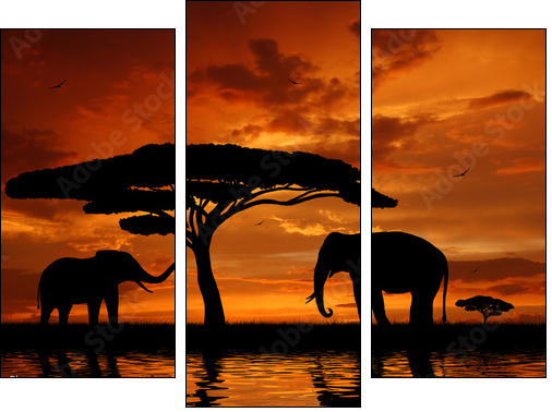 Silhouette two elephants in the sunset - Dreiteiliges Leinwandbild, Triptychon