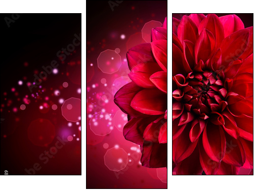 Dahlia Autumn flower design - Dreiteiliges Leinwandbild, Triptychon