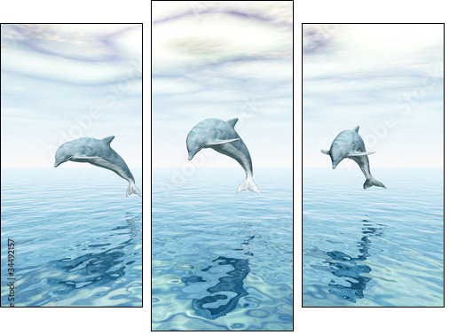 Jumping Dolphins - Springende Delfine - Dreiteiliges Leinwandbild, Triptychon