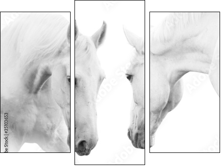 white horses - Dreiteiliges Leinwandbild, Triptychon