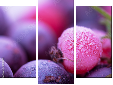 Frozen berries - Dreiteiliges Leinwandbild, Triptychon