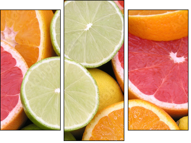 citrus fruits - Dreiteiliges Leinwandbild, Triptychon