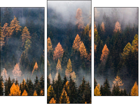 autumn nature background forest in fog - Dreiteiliges Leinwandbild, Triptychon