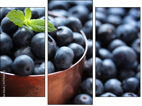 Blueberries - Dreiteiliges Leinwandbild, Triptychon