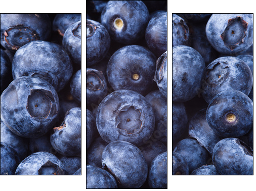 many blueberries - Dreiteiliges Leinwandbild, Triptychon
