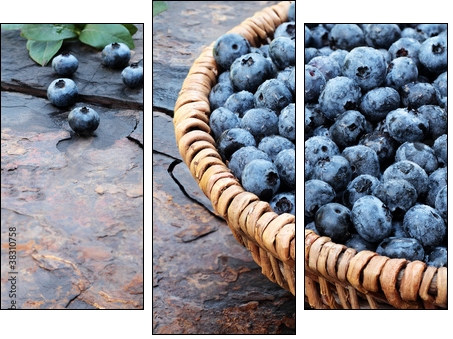 Fresh Blueberries - Dreiteiliges Leinwandbild, Triptychon